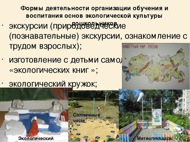 Формирование у дошкольников основ экологической культуры