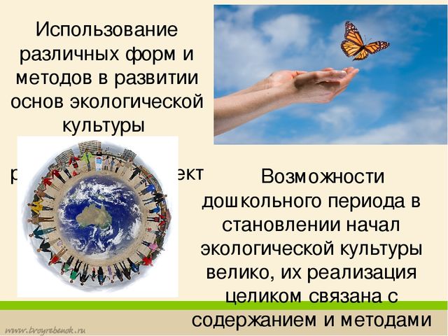 Формирование у дошкольников основ экологической культуры