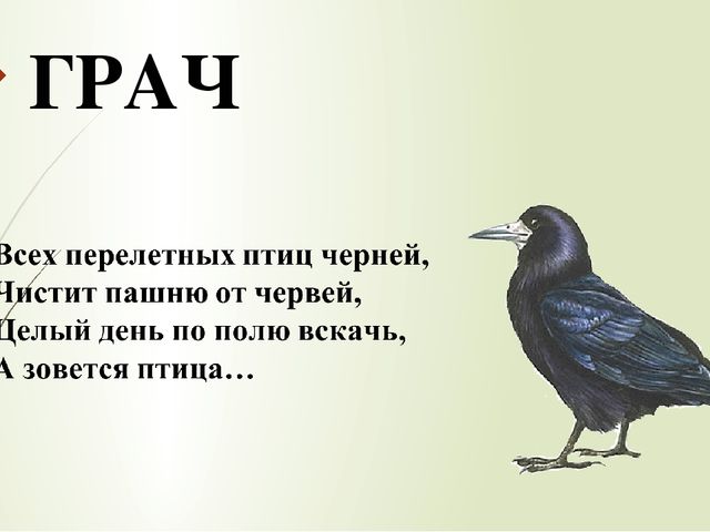 Презентация по ознакомлению с окружающим миром природы на тему "перелетные птицы"