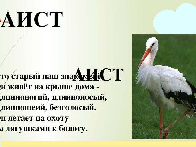 Презентация по ознакомлению с окружающим миром природы на тему "перелетные птицы"