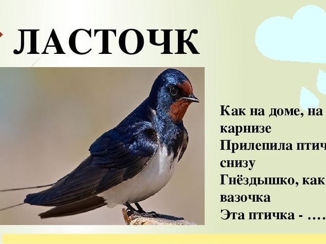 Презентация по ознакомлению с окружающим миром природы на тему "перелетные птицы"