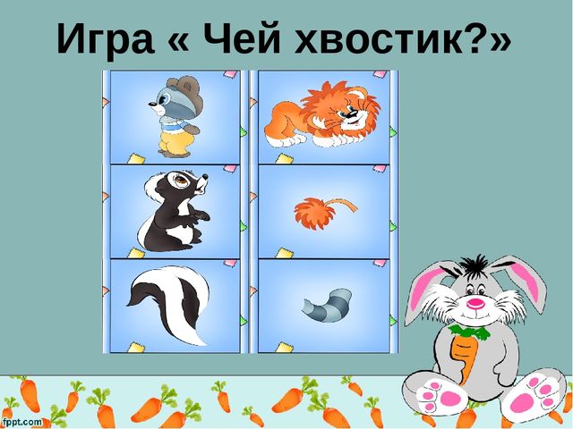 Игра чей хвост дикие лесные животные в картинках для детей