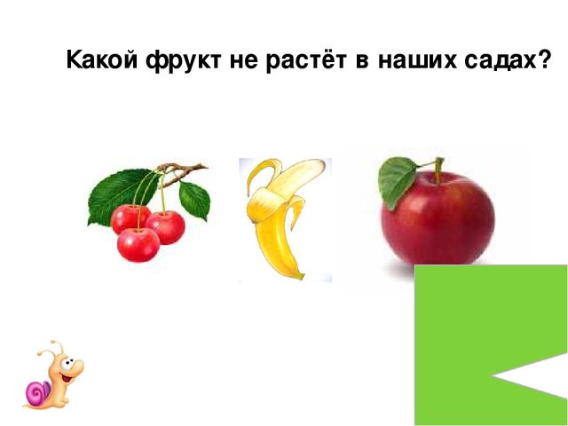 Презентация на тему "Фрукты" для дошколят