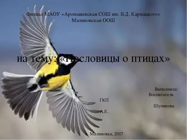 Презентация "Пословицы о птицах"
