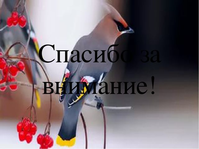Презентация "Пословицы о птицах"