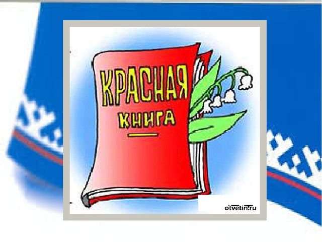 Презентация к ННОД "Водоемы Ямала"