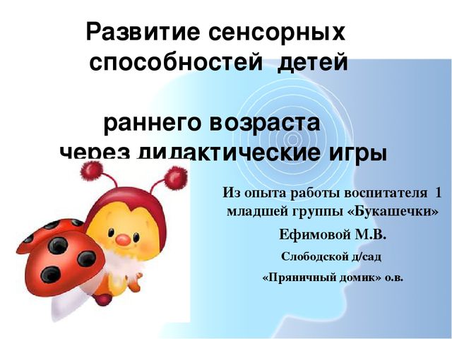 Презентация для педагогов "Развитие сенсорных способностей детей через дидактические игры"