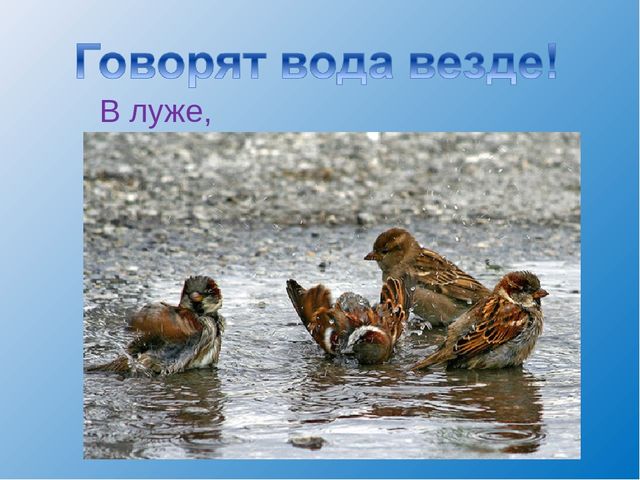 Презентация на тему: "Волшебница-водица"