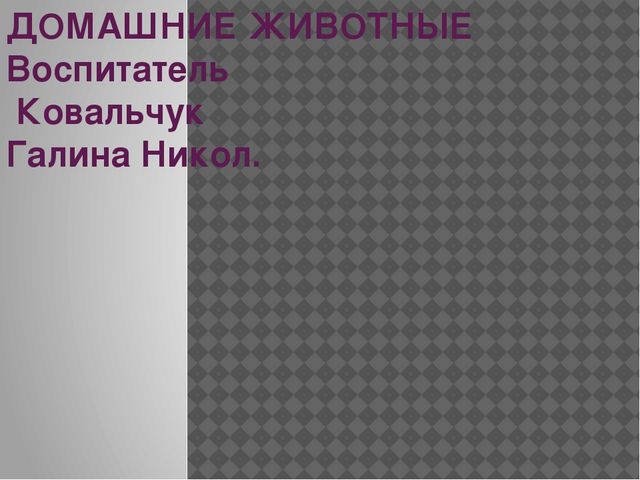 Презентация на тему "Домашние животные"