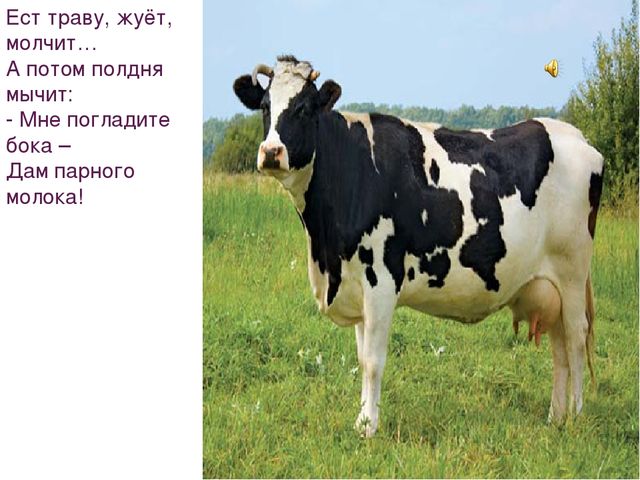 Презентация на тему "Домашние животные"