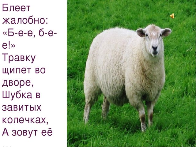 Презентация на тему "Домашние животные"