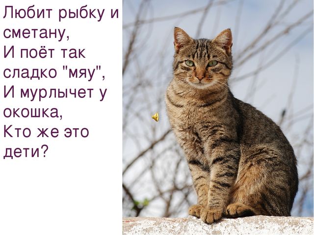 Презентация на тему "Домашние животные"