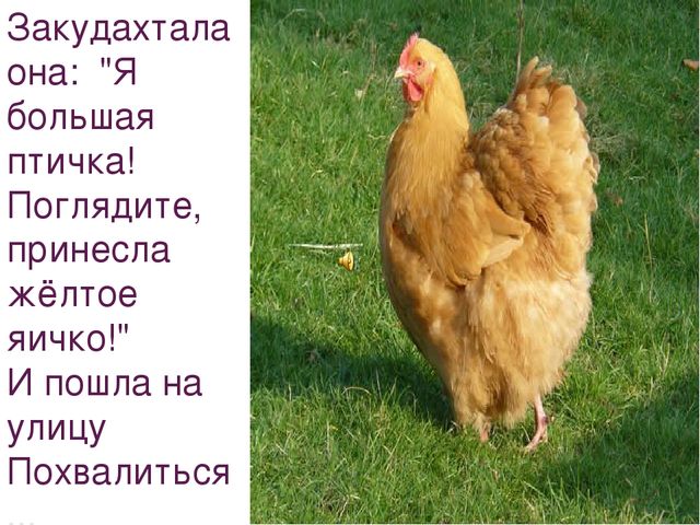 Презентация на тему "Домашние животные"