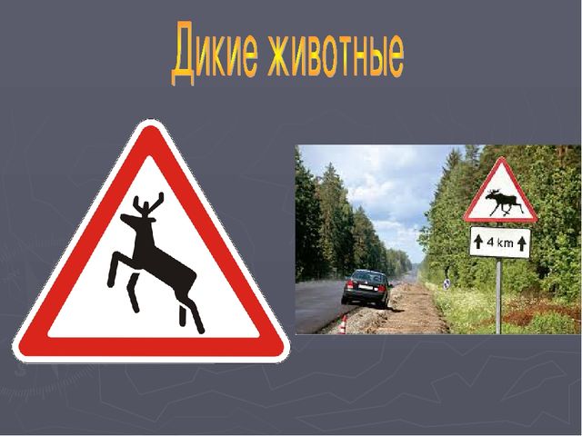 Презентация по ПДД для дошкольников.