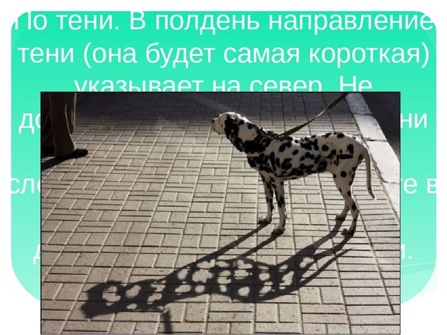 Признаки ориентирования на местности