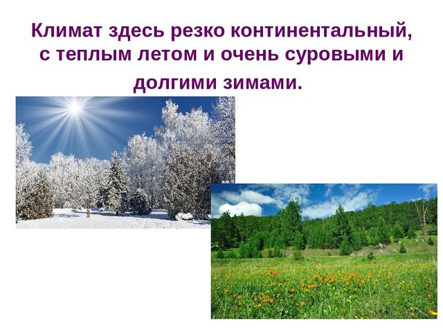 Презентация по познавательному развитию "Любимый город. Абакан"