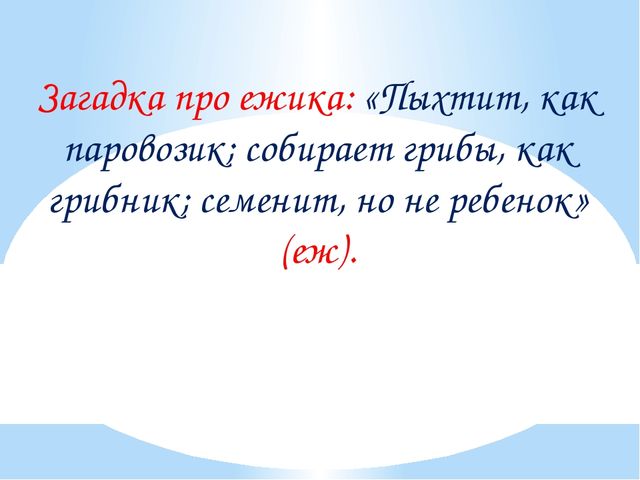 Загадка про ежика для 1 класса. Загадка про ежика. Загадки про ежа для детей 1 класса. Загадка про Ёжика для детей. Загадка о еже.