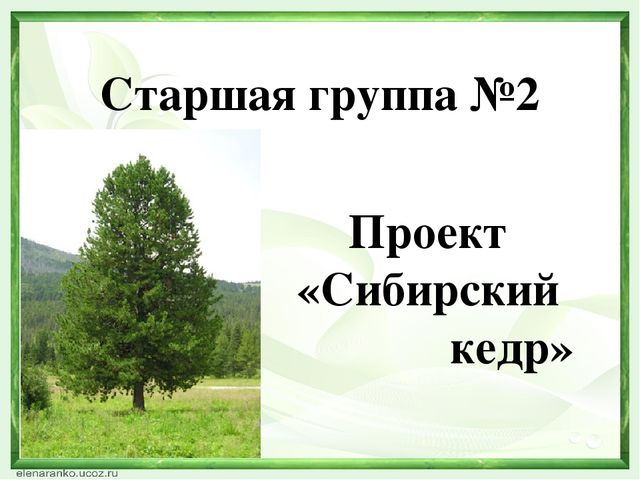 Презентация "Экологический КВН" "Природа - наш общий дом" (ДОУ, подготовительная группа"