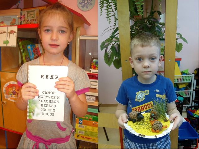 Презентация "Экологический КВН" "Природа - наш общий дом" (ДОУ, подготовительная группа"