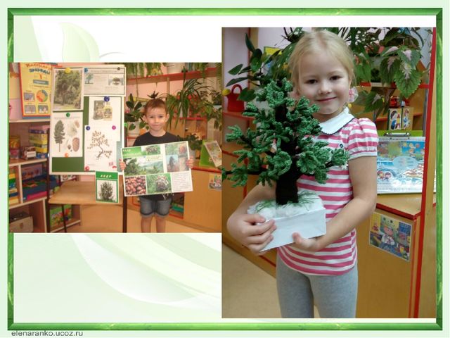 Презентация "Экологический КВН" "Природа - наш общий дом" (ДОУ, подготовительная группа"