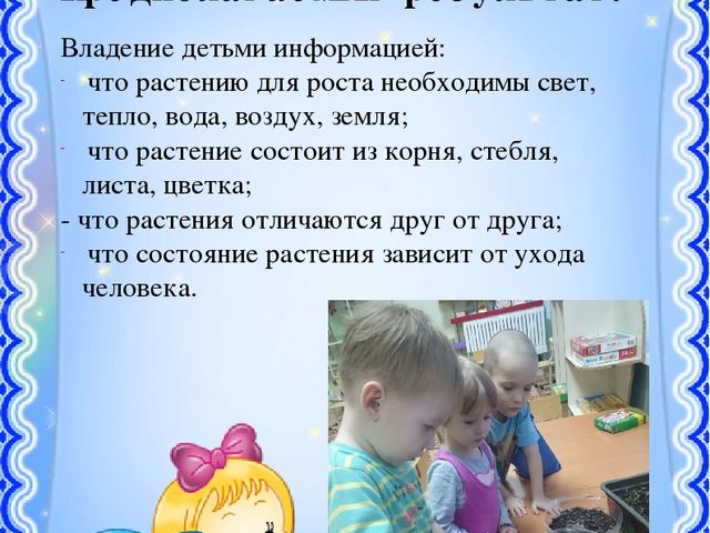 Презентация на тему: "Страна цветов"