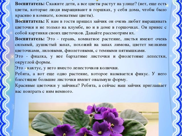 Презентация на тему: "Страна цветов"