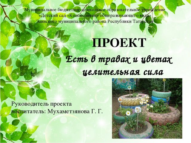 Презентация на тему: "Лекарственные травы"