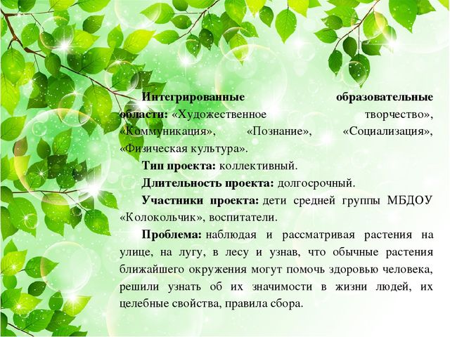Презентация на тему: "Лекарственные травы"