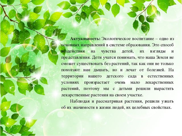 Презентация на тему: "Лекарственные травы"