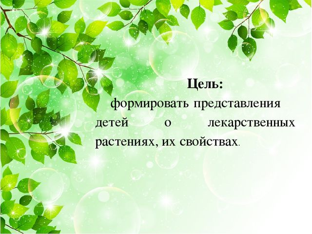 Презентация на тему: "Лекарственные травы"