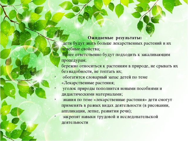 Презентация на тему: "Лекарственные травы"