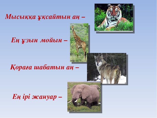 "Жабайы аңдар" презентация ашық сабақ (Мектепалды даярлық топ)