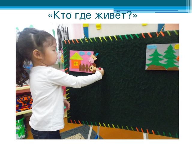 Дидактическое пособие "Чудеса из фетра" Презентация "Чудеса из фетра"