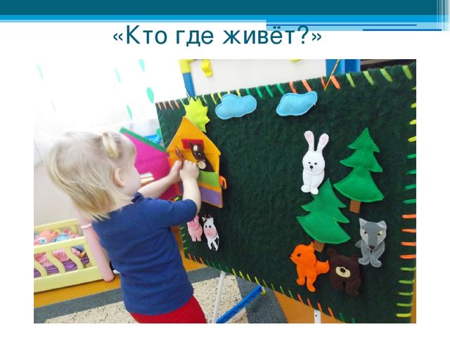 Дидактическое пособие "Чудеса из фетра" Презентация "Чудеса из фетра"