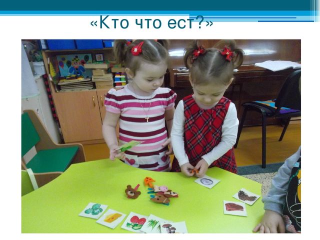 Дидактическое пособие "Чудеса из фетра" Презентация "Чудеса из фетра"