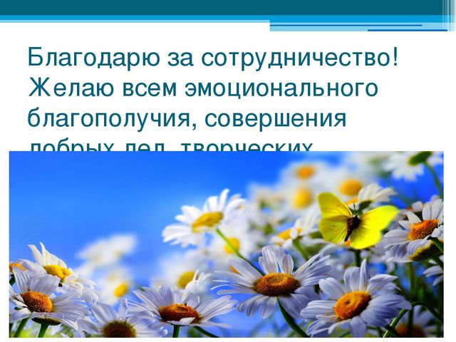 Дидактическое пособие "Чудеса из фетра" Презентация "Чудеса из фетра"