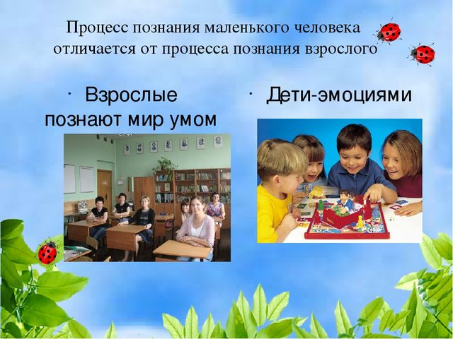 Презентация "Развитие познавательных и речевых способностей детей младшего и среднего дошкольного возраста через проектно - исследовательскую деятельность".