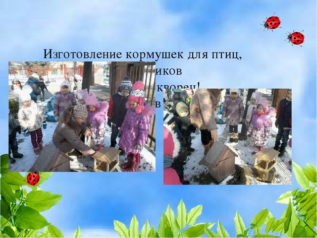 Презентация "Развитие познавательных и речевых способностей детей младшего и среднего дошкольного возраста через проектно - исследовательскую деятельность".