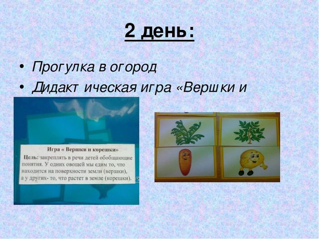 Презентация "Дидактическая игра в экологическом воспитание детей младшего дошкольного возраста