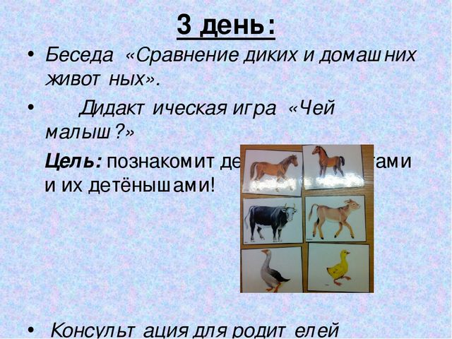 Презентация "Дидактическая игра в экологическом воспитание детей младшего дошкольного возраста