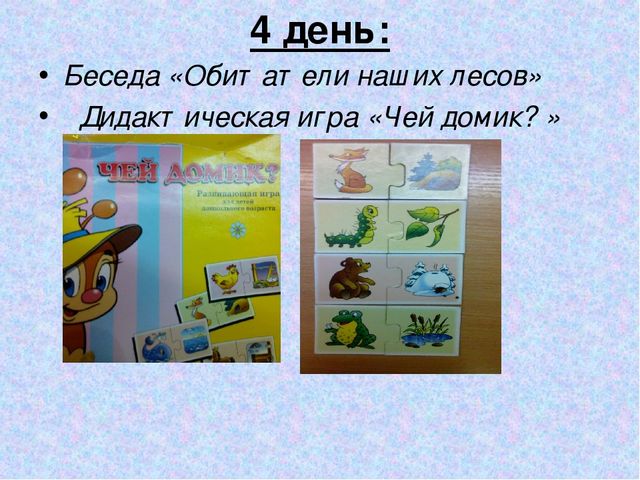 Презентация "Дидактическая игра в экологическом воспитание детей младшего дошкольного возраста