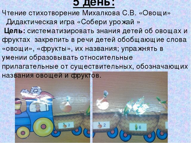 Презентация "Дидактическая игра в экологическом воспитание детей младшего дошкольного возраста
