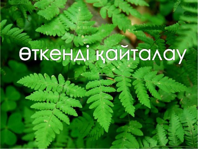 "Мәдени өсімдіктер "презентация(даярлық сынып)
