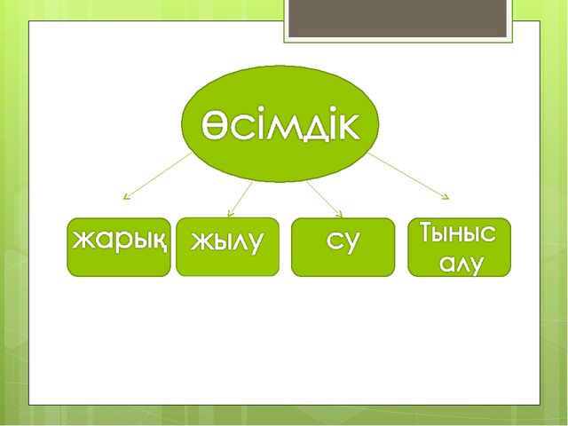 "Мәдени өсімдіктер "презентация(даярлық сынып)
