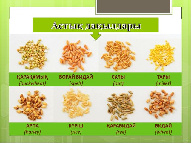 "Мәдени өсімдіктер "презентация(даярлық сынып)