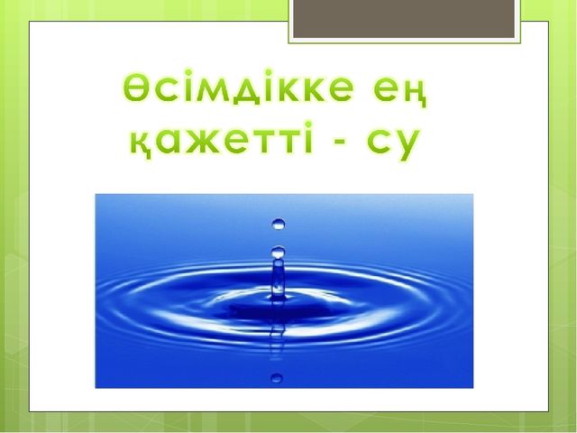 "Мәдени өсімдіктер "презентация(даярлық сынып)