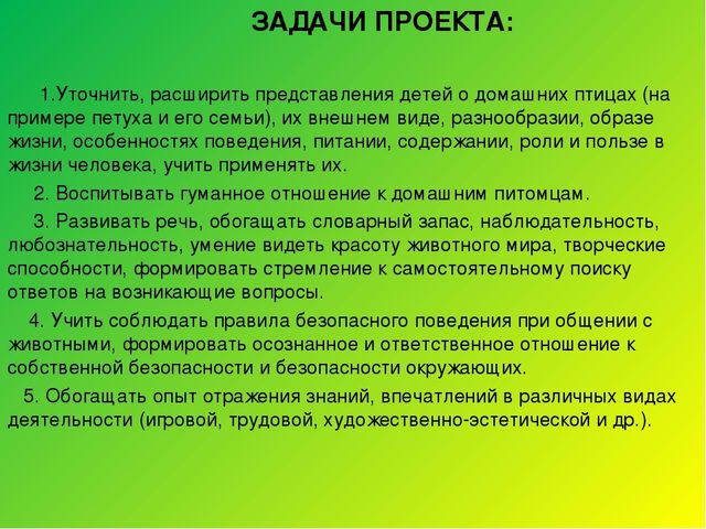 Познавательно-тематический проект на тему "Жил-был Петушок"