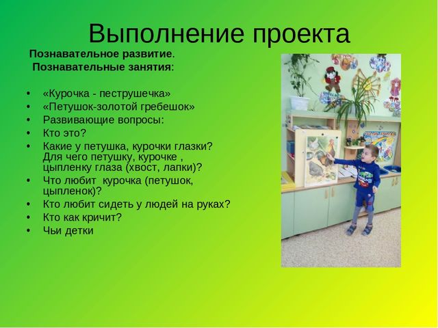 Познавательно-тематический проект на тему "Жил-был Петушок"