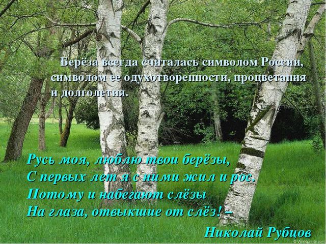 Занятие " Символы моей Родины"