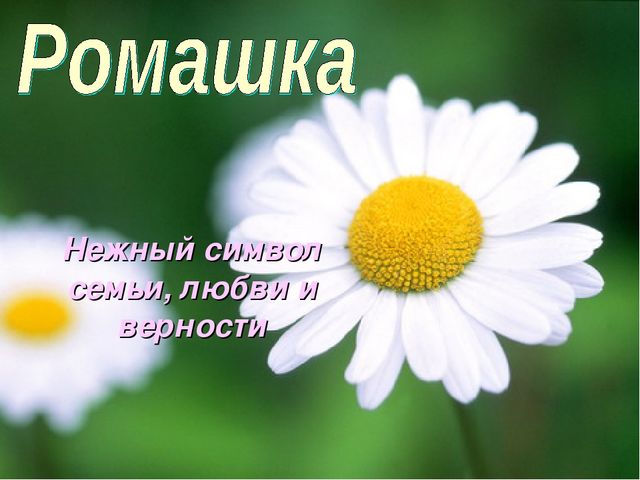Занятие " Символы моей Родины"